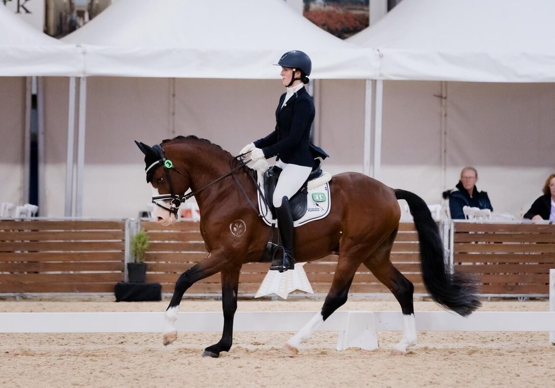 Werribee equestrian event with marquees